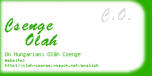 csenge olah business card