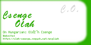 csenge olah business card